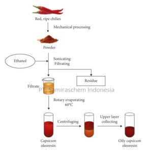 Proses Produksi Capsicum Oleoresin