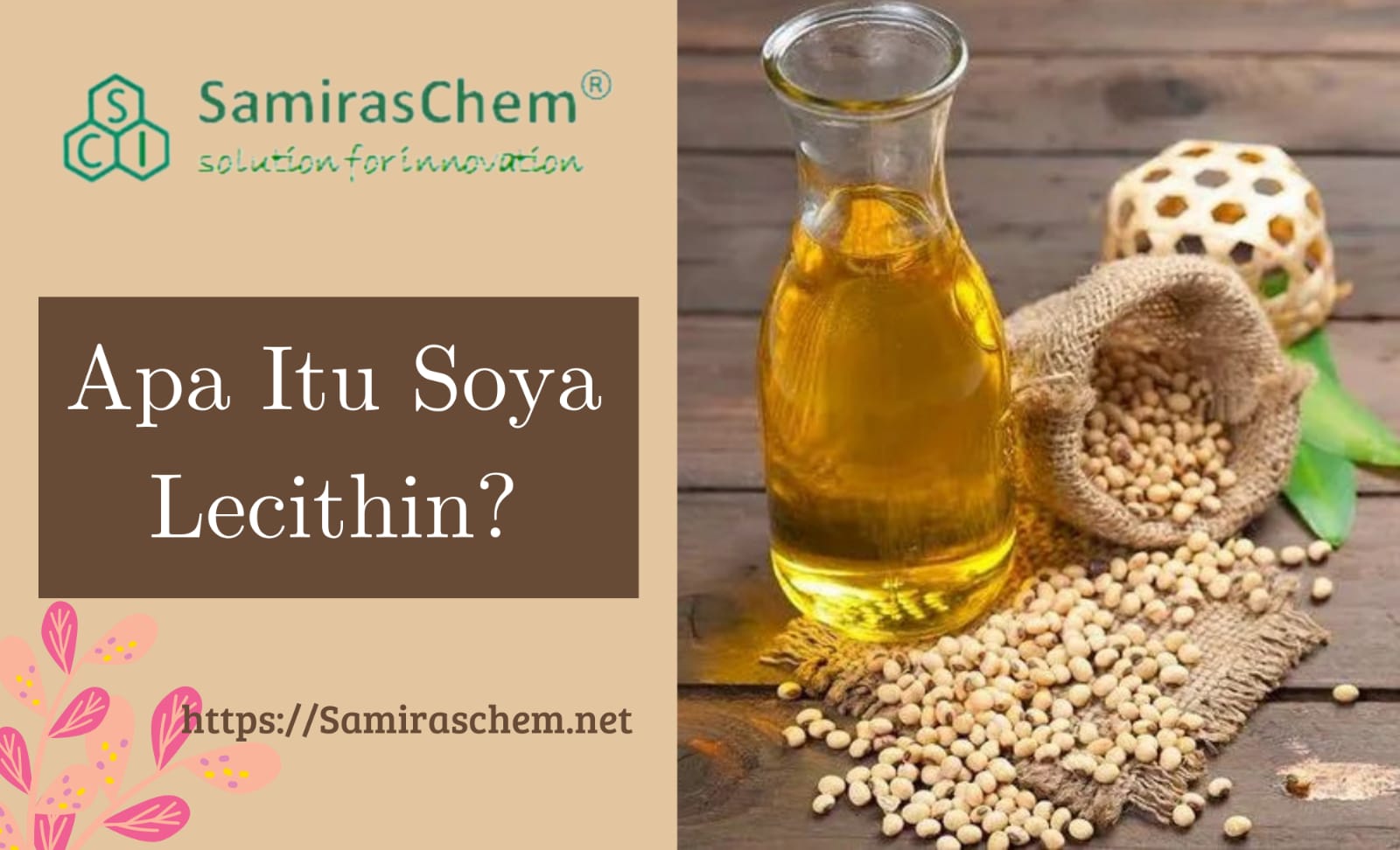 Apa itu Soya Lecithin? Eskstrak minyak kedelai yang serbaguna.